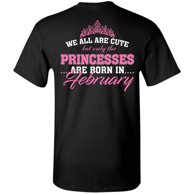Limited Edition **Princess Born In February** Shirts & Hoodies