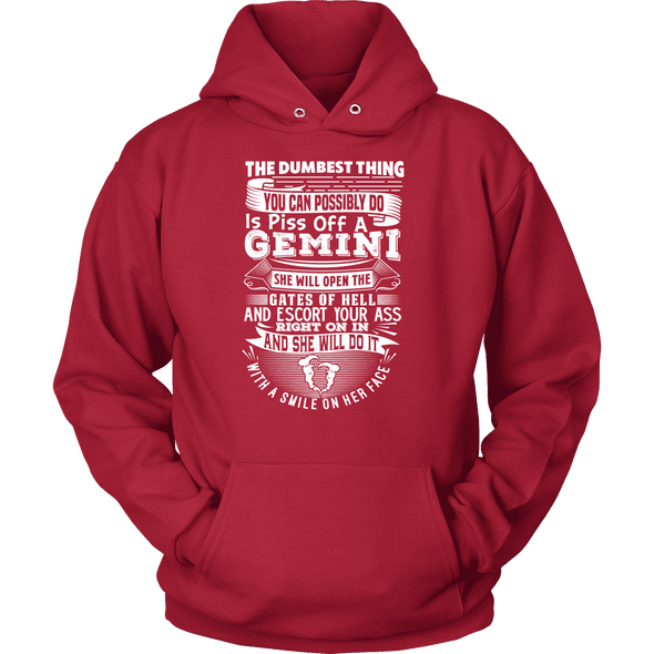 The Dumbest Thing Gemini Women  Shirt, Hoodie & Tank