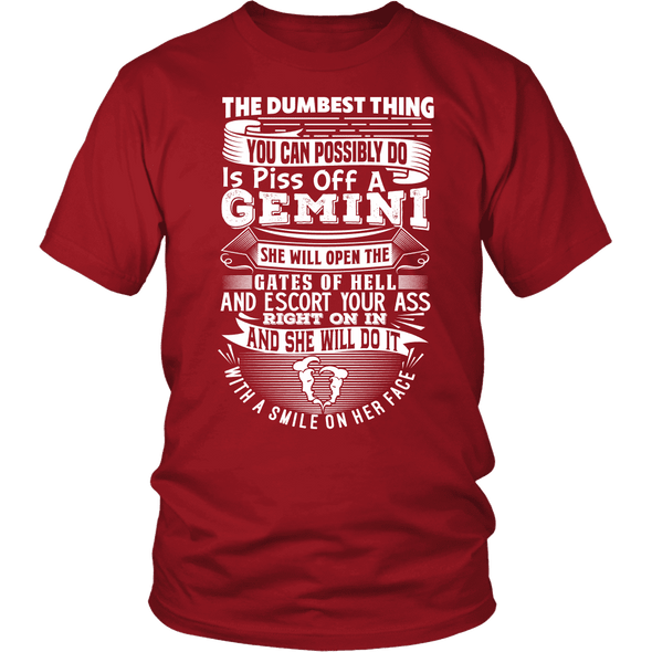 The Dumbest Thing Gemini Women  Shirt, Hoodie & Tank